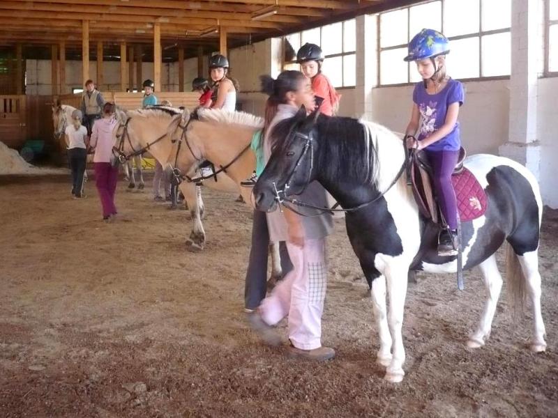 Letní tábory OKO - koňský tábor ve Staré Pace v Podkrkonoší