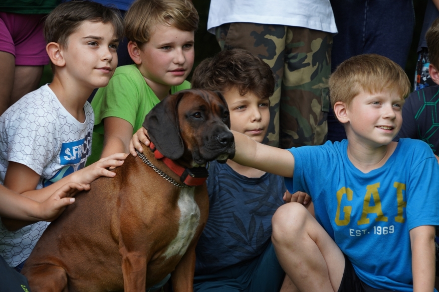 Psi a děti patří odjakživa k sobě. A ještě více to platí na táborech. 